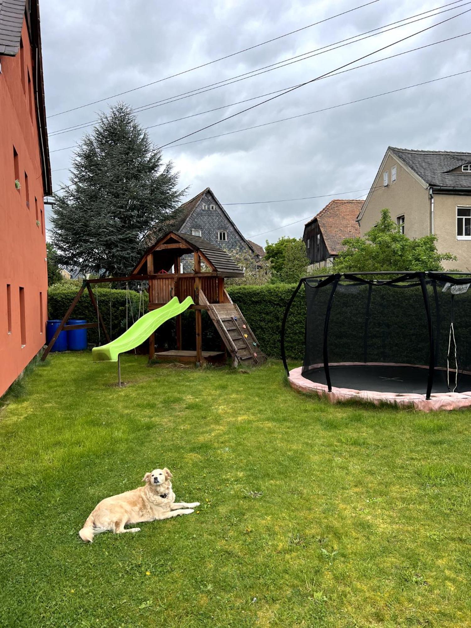 Haus Mit Pool Grossschoenau Exterior photo